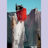 Berther, Martina/philipp Schlotter Matt