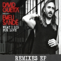 Guetta, David What I Did For Love