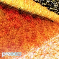 Preoccupations Mur/ponr -coloured-