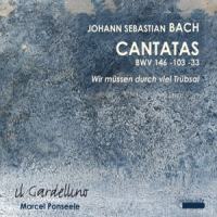 Bach, Johann Sebastian Cantatas Vol.4