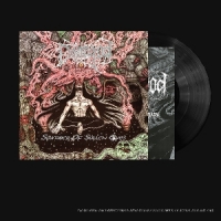 Demigod Slumber Of Sullen Eyes