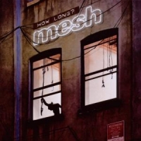 Mesh How Long ?