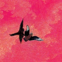 Rojas, Sebastian En La Orilla