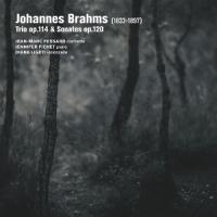 Jean-marc Fessard Jennifer Fichet D Brahms Trio Op. 114 Sonates Op. 120