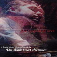 Black Heart Procession Tropics Of Love