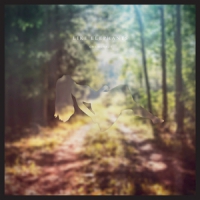 Like Elephants Oneironaut