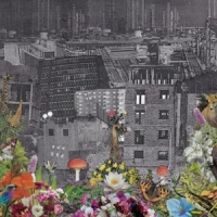 Bloody Head Perpetual Eden