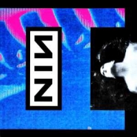 Nine Inch Nails Pretty Hate Machine