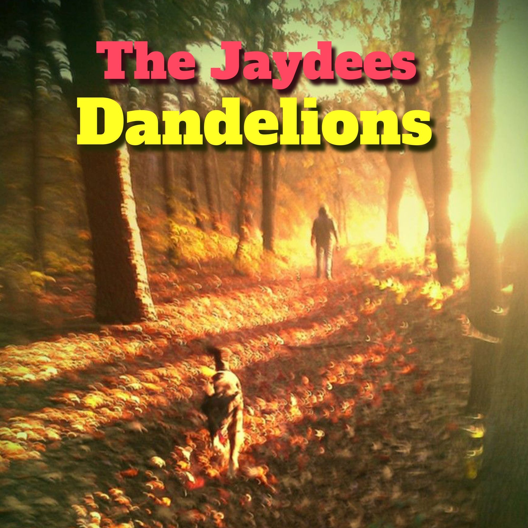 Jaydees Dandelions