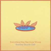 Everything Else Has Gone Wrong (limited 2lp)