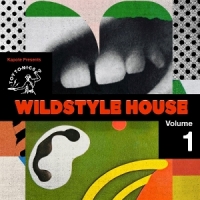 Wildstyle House Vol.1