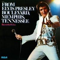 From Elvis Presley Boulevard Memphis -coloured-