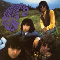 Piknik Caleidoscopico