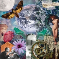 Things We Did On Earth -ltd-