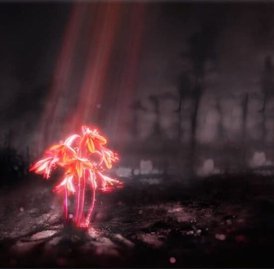 A Kiss For The Whole World