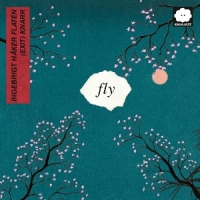 Fly (live)