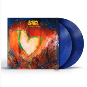 The Forest Is The Path -limited-