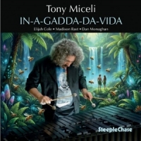 In-a-gadda-da-vita