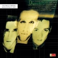 Bringing Home The Ashes -coloured-