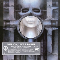 Brain Salad Surgery