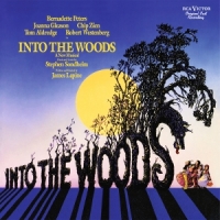 Into The Woods -coloured-