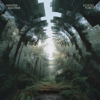 Echoes Forest (savannah)