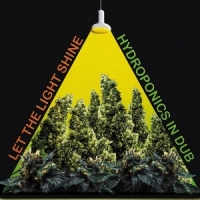 Let The Light Shine (green)