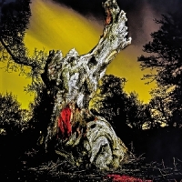 Two Wrongs Don't Make A Right