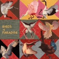 Birds Of Paradise (roseate Spoonbil