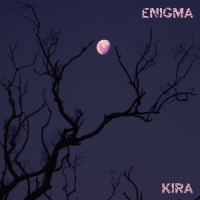 Enigma (orchid)