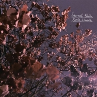 Internal Radio (lavender)