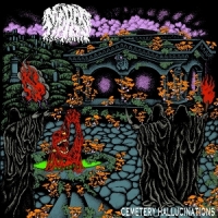 Cemetery Hallucinatons