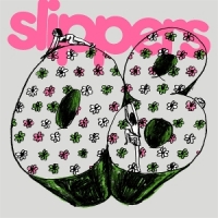 Slipper 08