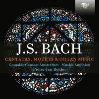 J.s. Bach: Cantatas, Motets & Organ Music