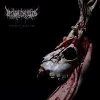Echoes Of A Forlorn Land -coloured-