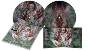 Worm Infested -picture Disc-