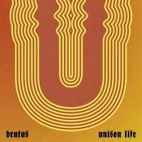Unison Life -orange Coloured-