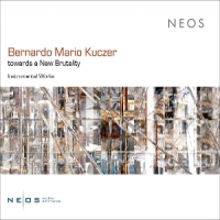 Bernardo Mario Kuczer  Towards A Ne