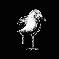 Stiff Richards (black)