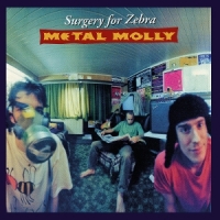 Surgery For Zebra -coloured-