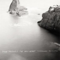 Dylan Mattingly: The Wild Heart