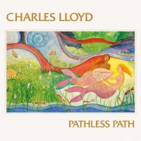 Pathless Path