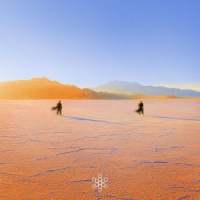 Insight Out -coloured-