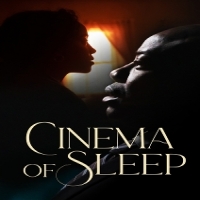 Cinema Of Sleep