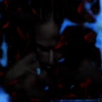 Love S Arp