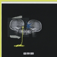 Uber Beide Ohren -coloured-