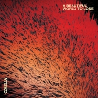 A Beautiful World To Lose -coloured-