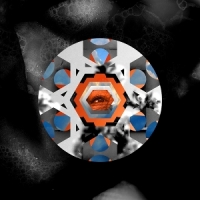 There Is No Memory (translucent Bla