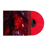 Not Here Not Gone (transparent Red)