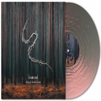 Through Shaded Woods -coloured-